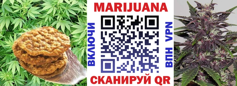 где найти   Оренбург  ОМГ ОМГ ТОР  Canna-Cookies конопля 