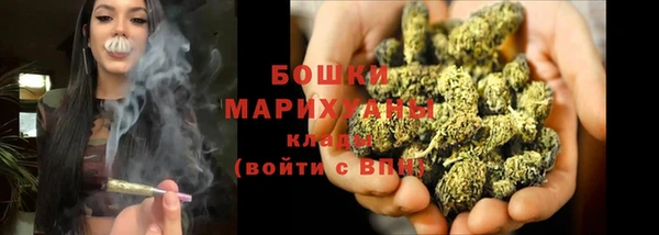 мяу мяу мука Михайлов