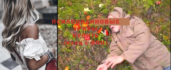 Альфа ПВП Михайловск