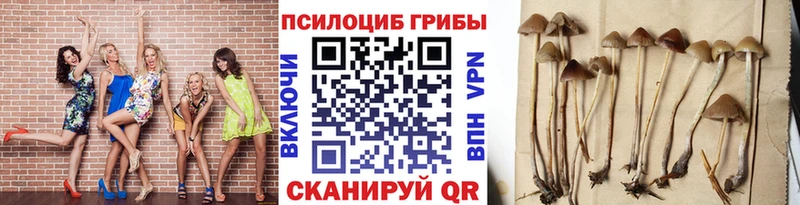 Псилоцибиновые грибы ЛСД  kraken ССЫЛКА  Оренбург 