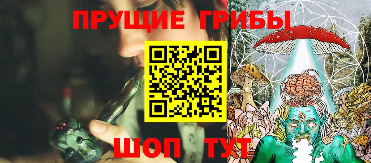 Псилоцибиновые грибы GOLDEN TEACHER  Вход с VPN  Оренбург 