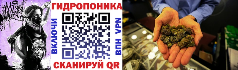 Каннабис гибрид  Оренбург 